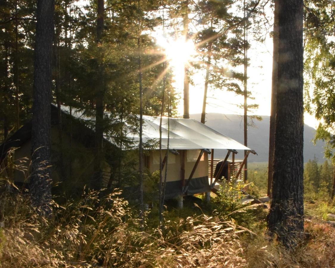 Breiva Gjestegaard Og Glamping *