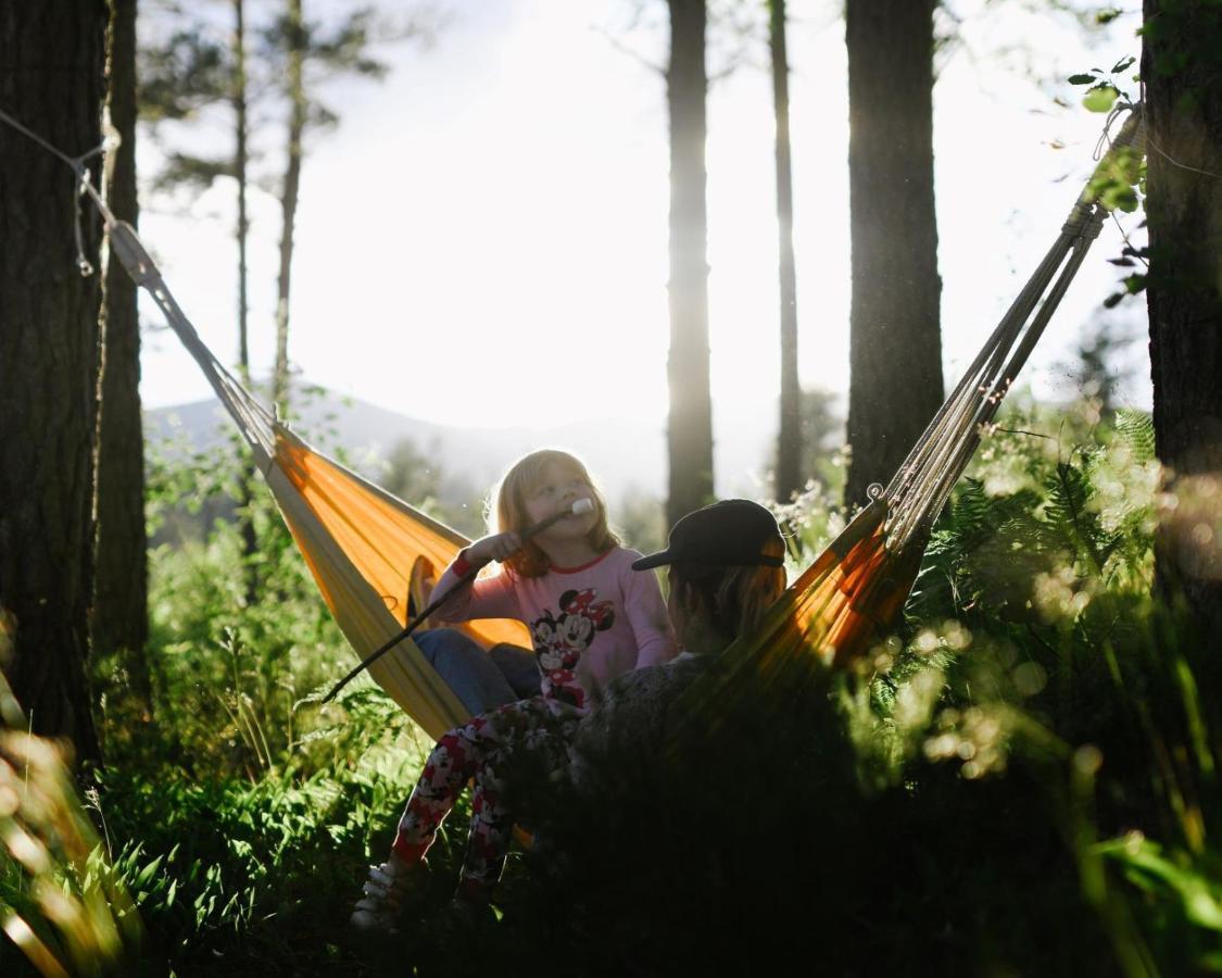Breiva Gjestegaard Og Glamping Bo (Telemark)